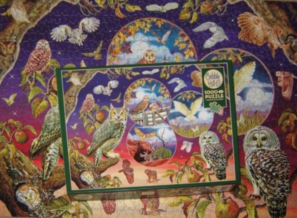 Owl Magic 🐦 - Cobble Hill Puzzle Company puzzle collectible [Barcode 0625012802208] - Main Image 4