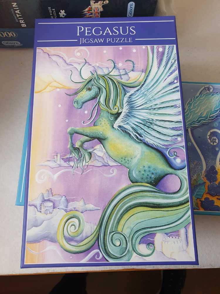 Weekend In Blue Shark Hotel