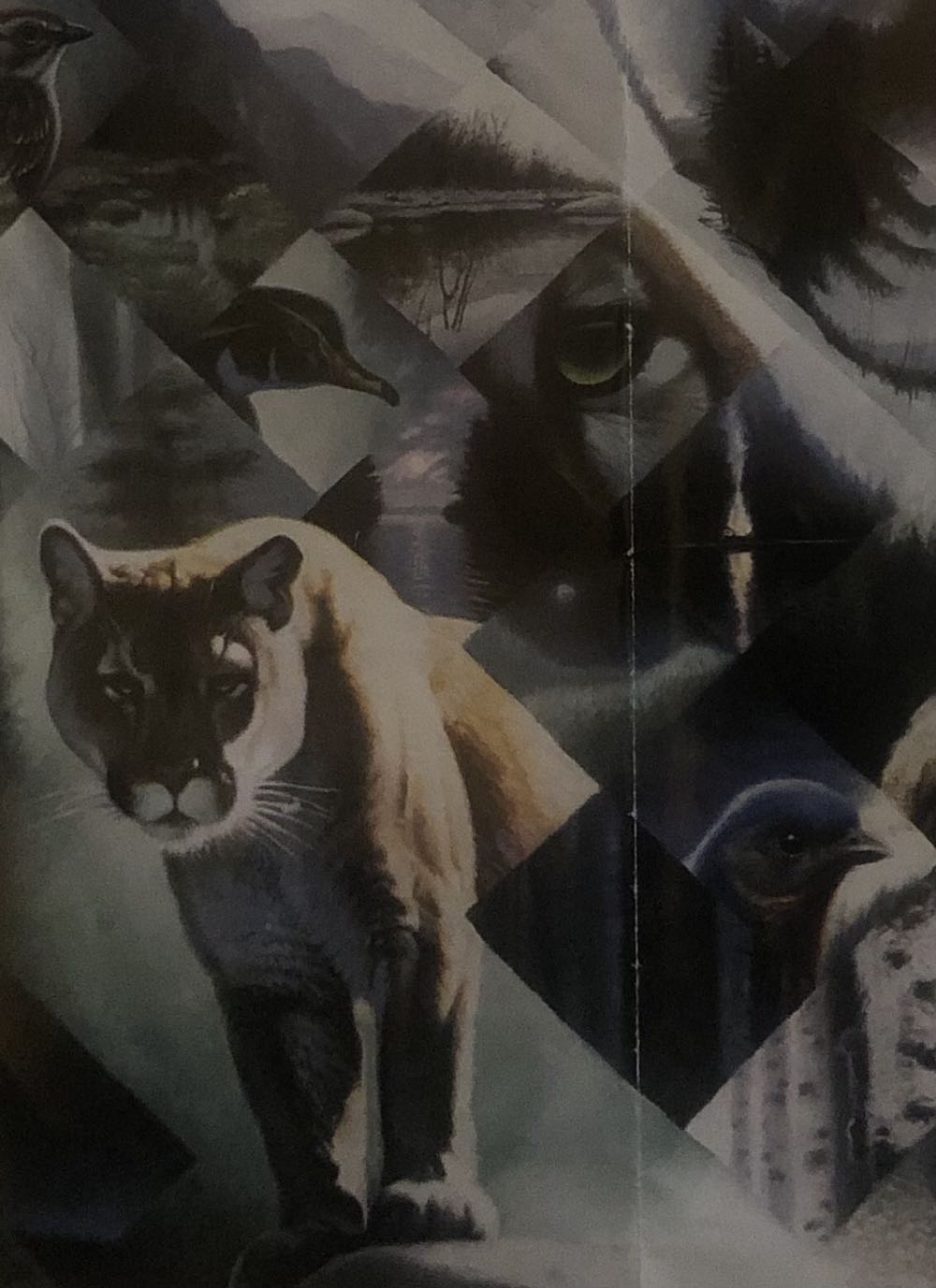 Puma - Schmidt Puzzle puzzle collectible - Main Image 2