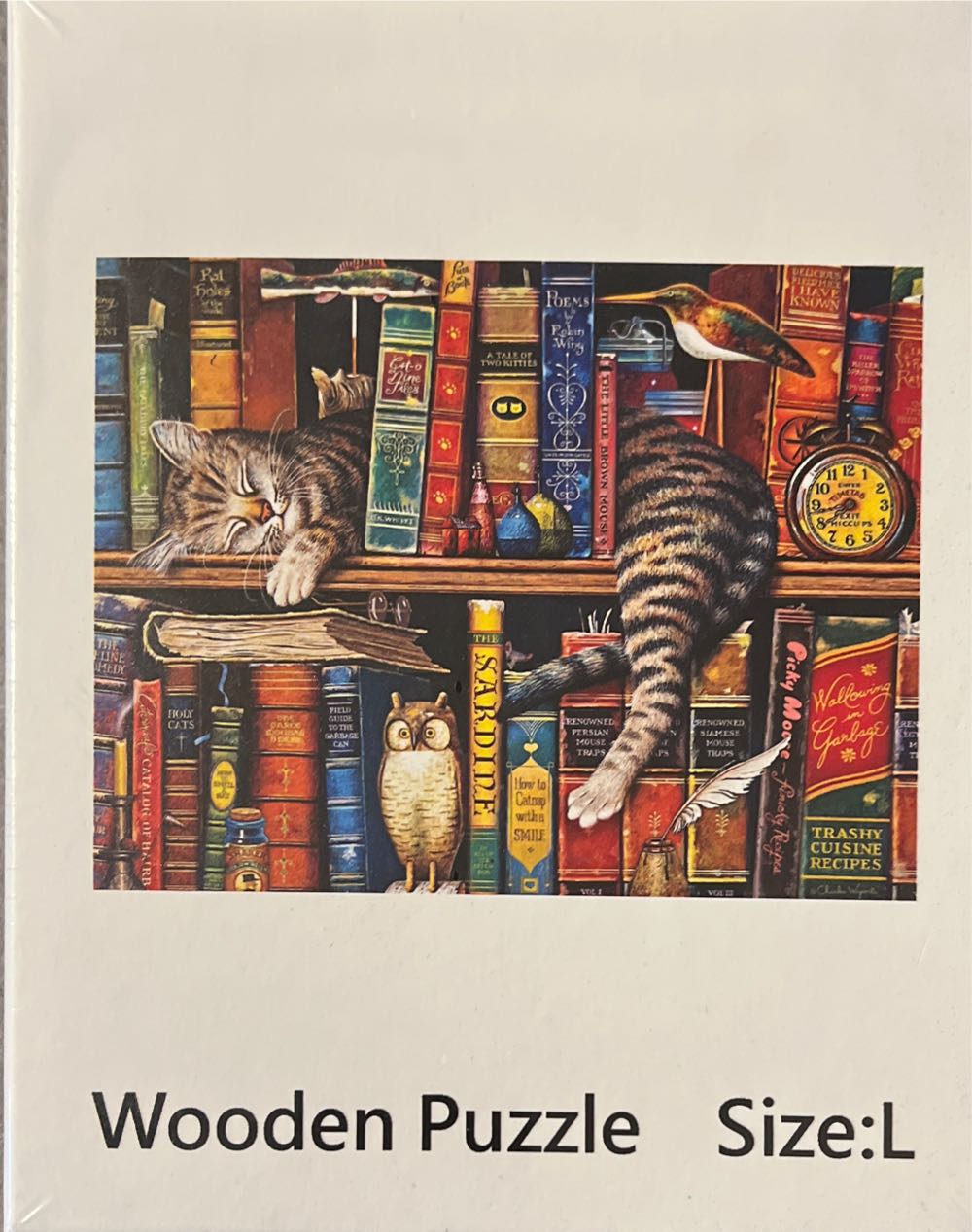 Night Of The Butterflies