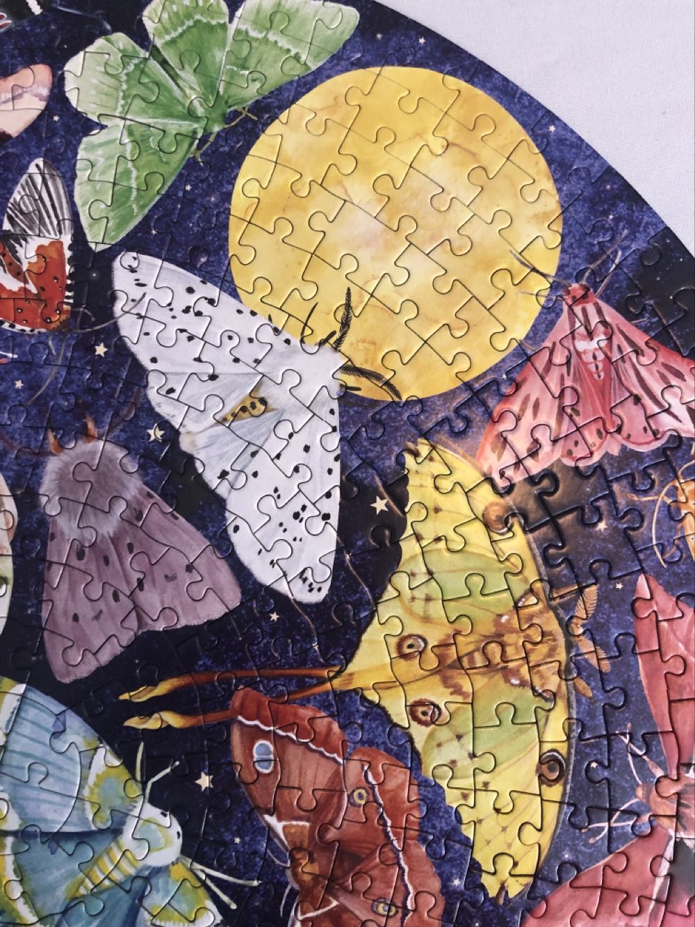 500: Round: Moths - eeBoo Puzzles puzzle collectible [Barcode 689196513268] - Main Image 2