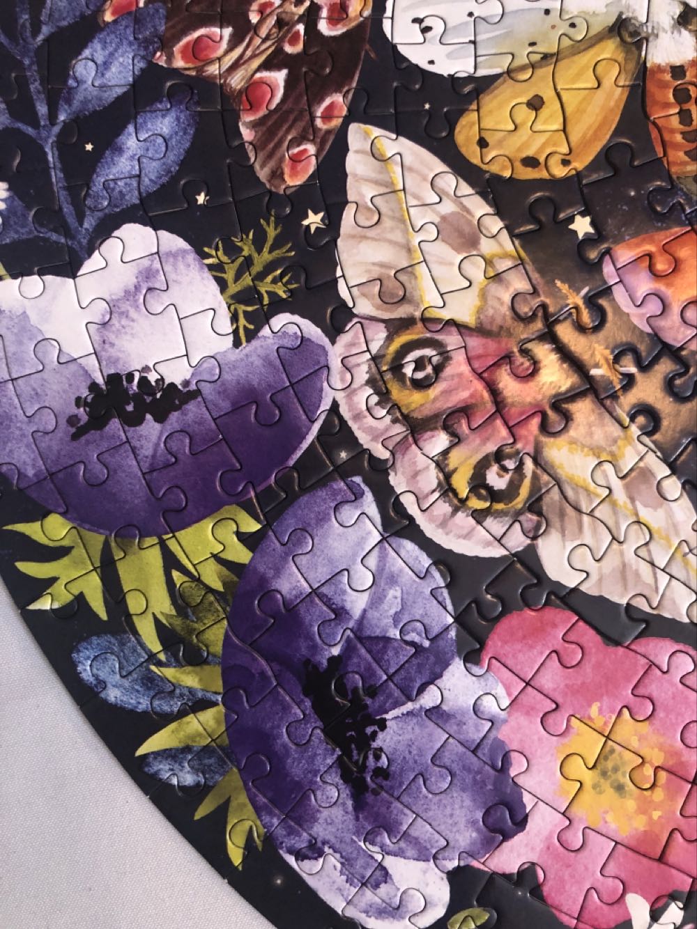 500: Round: Moths - eeBoo Puzzles puzzle collectible [Barcode 689196513268] - Main Image 3