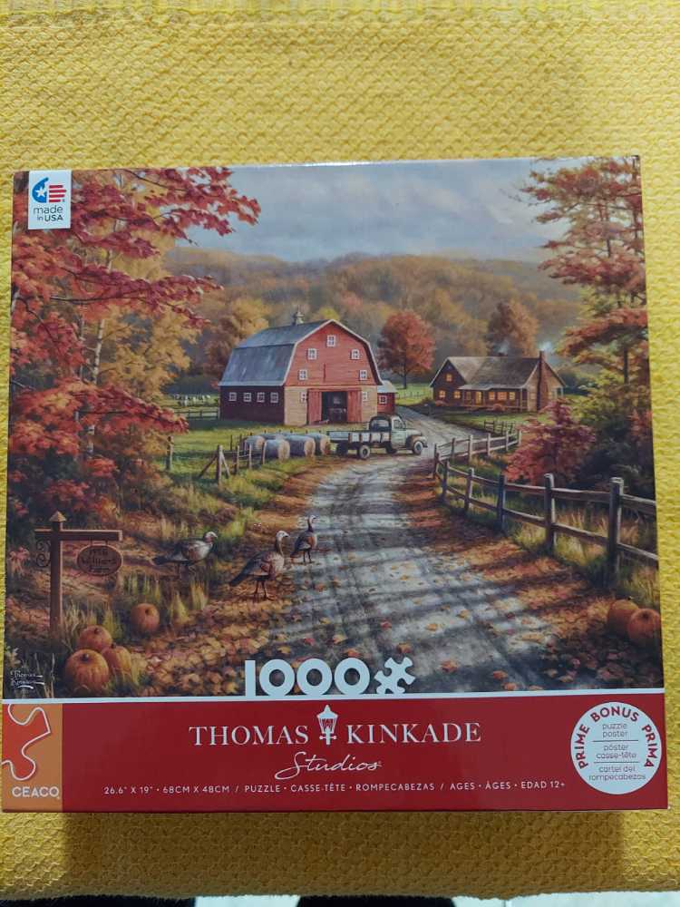 Balloon Darts At The Carnival 