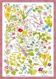 Countryside Collection Wild Flowers - Schmidt Puzzle puzzle collectible [Barcode 4001504595661] - Main Image 3