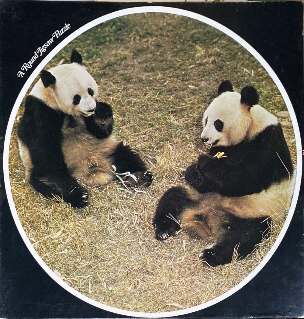 Disney Friends Princess Party