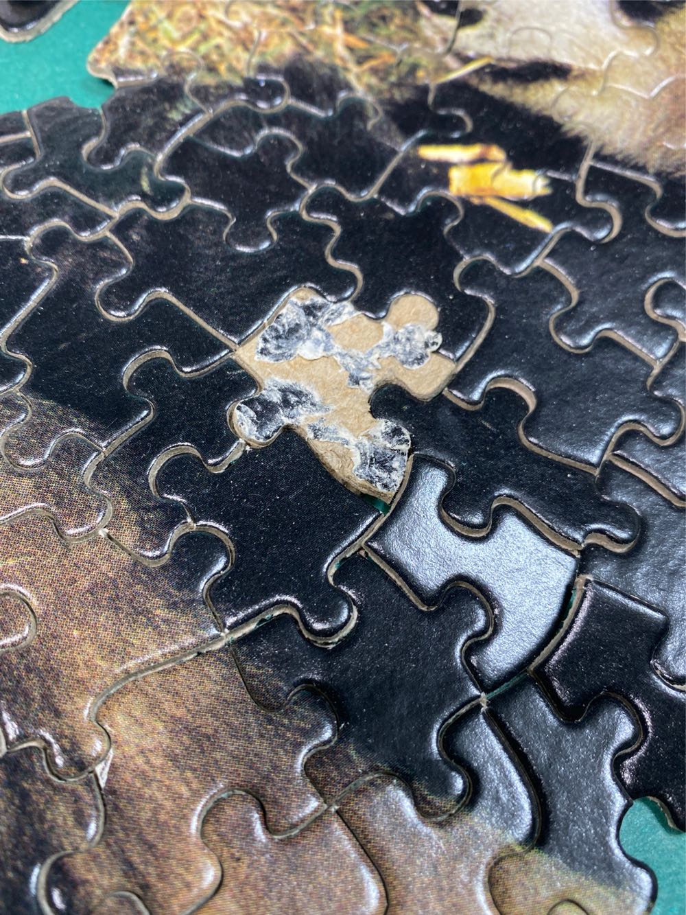 Panda Talk? - Eaton puzzle collectible - Main Image 2