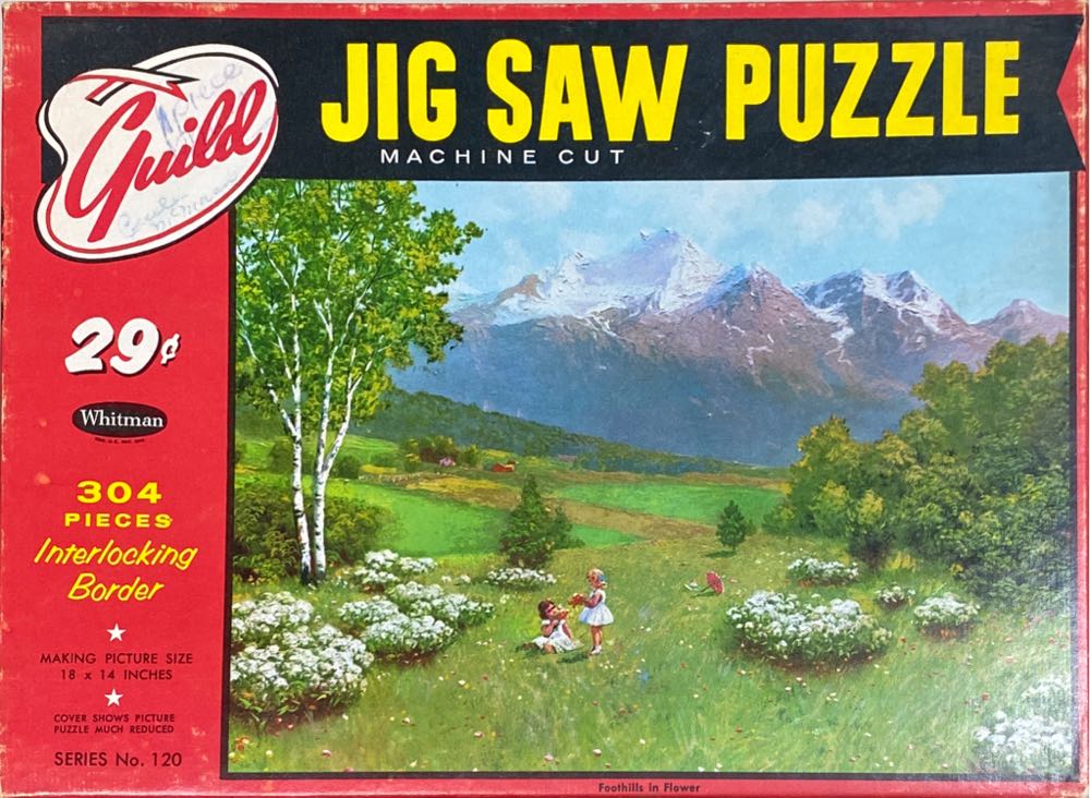 Hockey:  Montreal Canadiens Panoramic