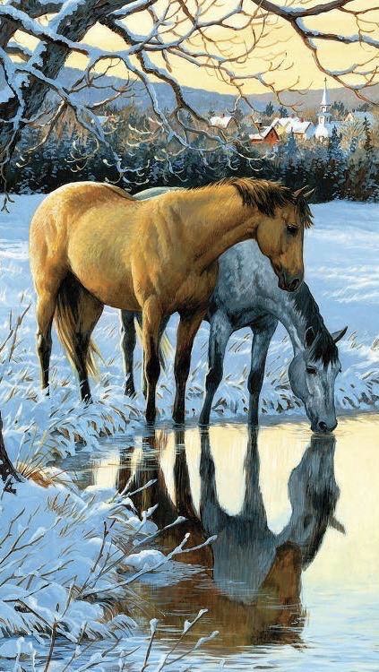 Reflections - SunsOut puzzle collectible [Barcode 796780519213] - Main Image 2