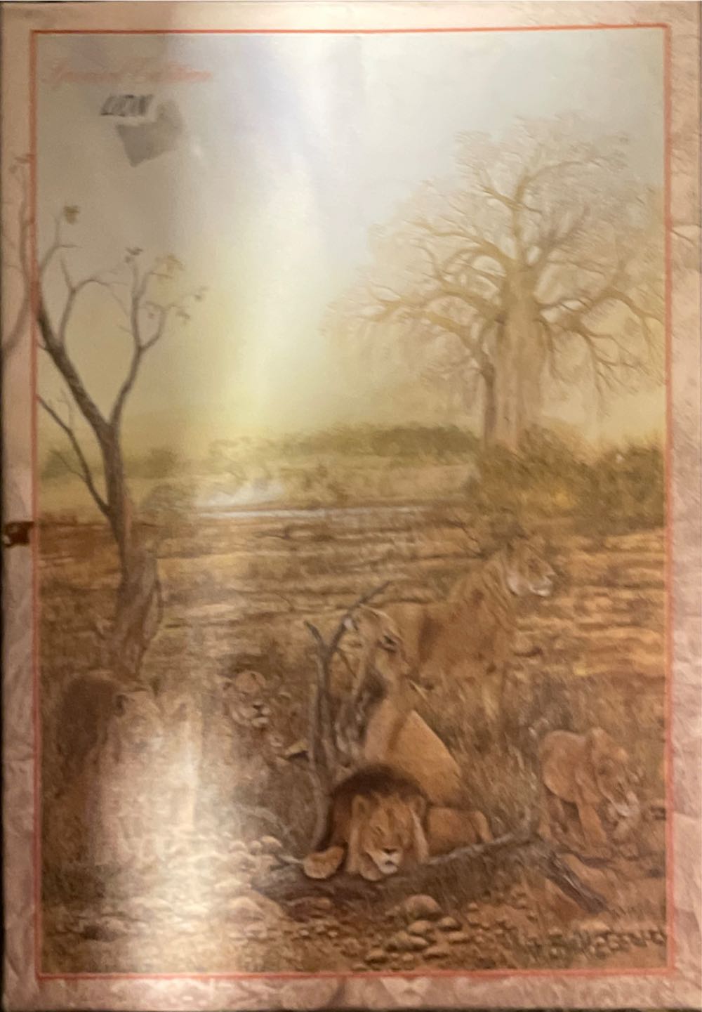 Kellogg’s 4 Puzzle Multipack