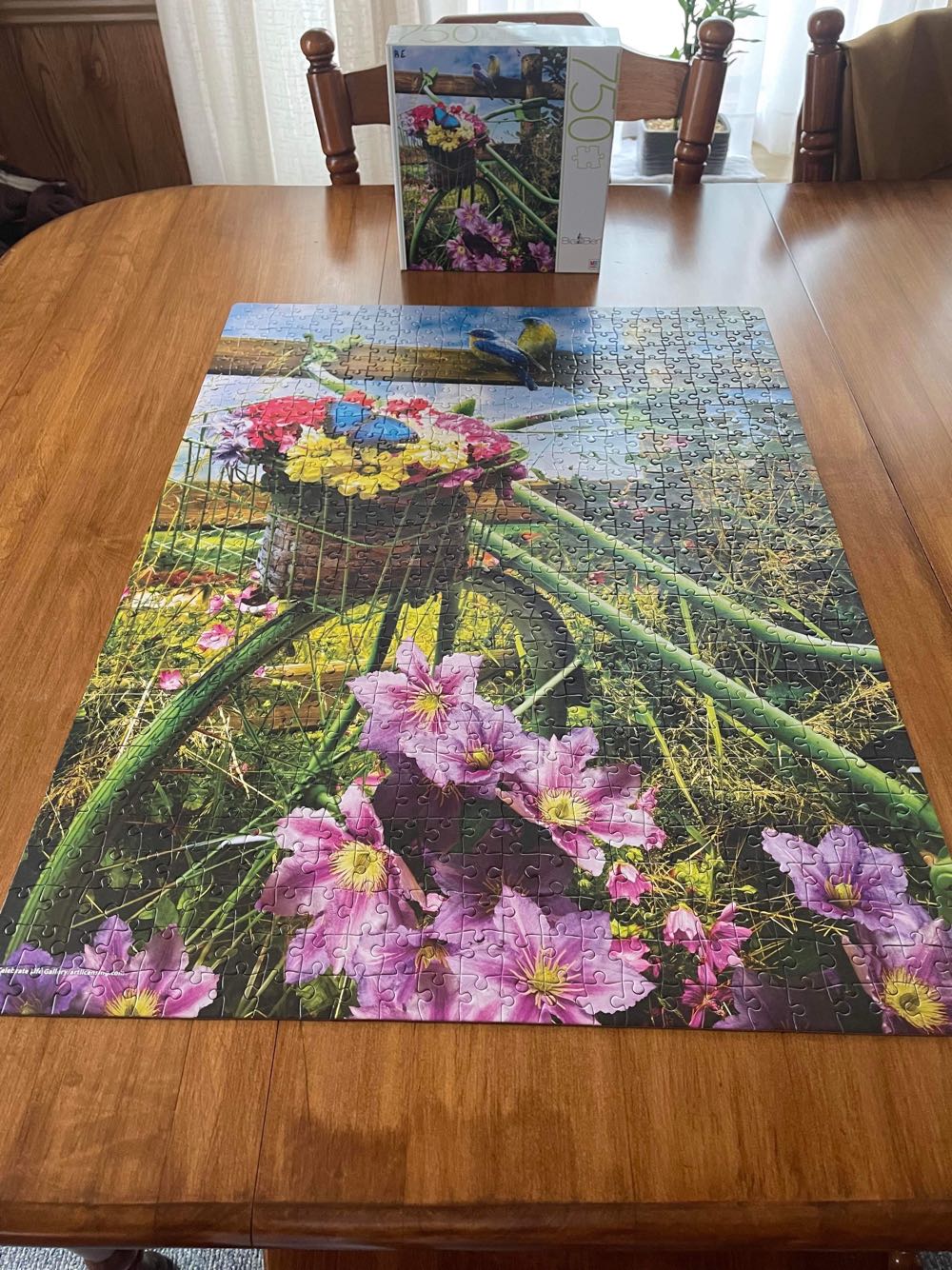 Elegant Still Life With Flowers Eugene Bidau Piece By Castorland Puzzles