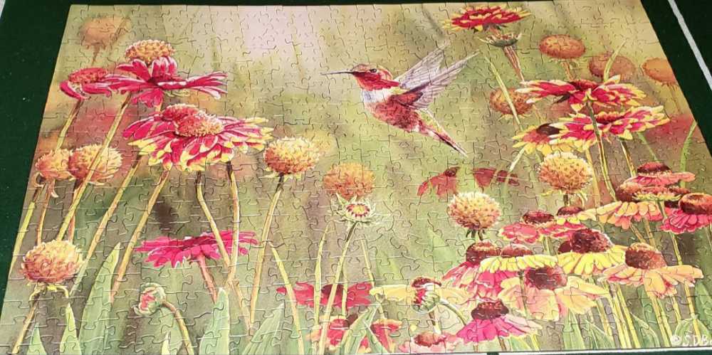 Rufus Hummingbird - Cobble Hill puzzle collectible - Main Image 3