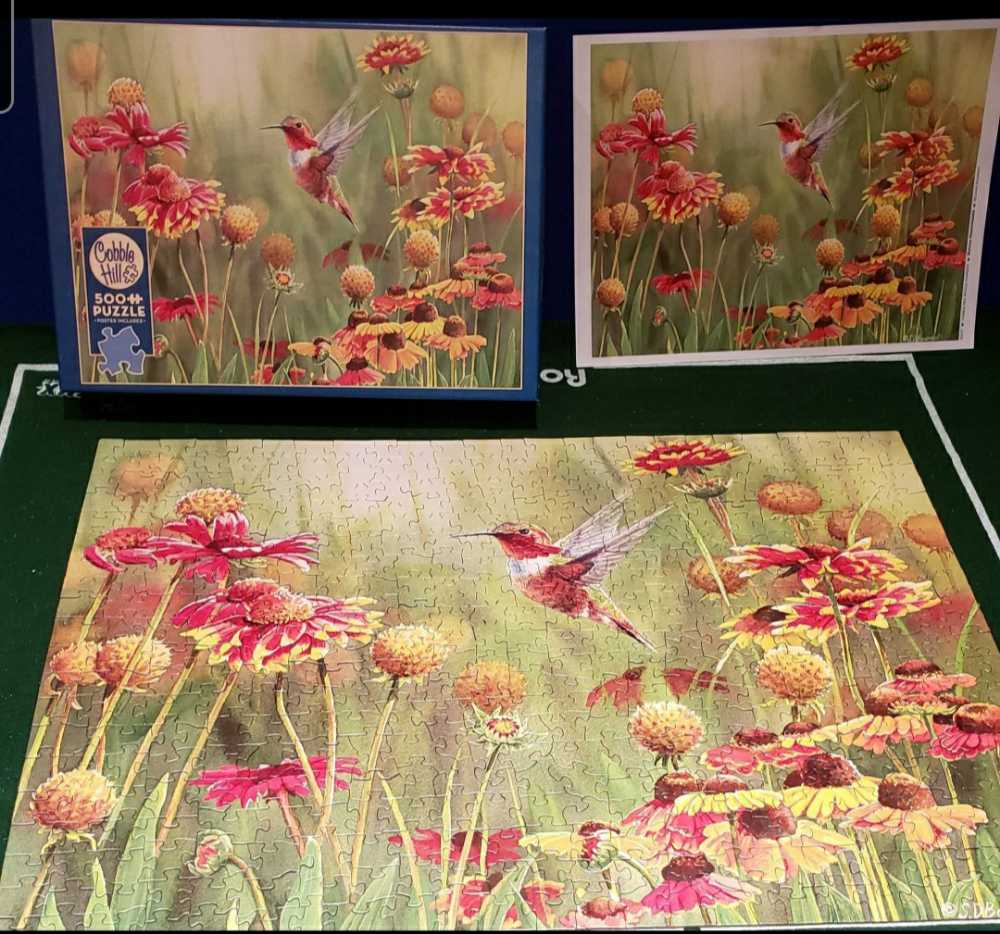 Rufus Hummingbird - Cobble Hill puzzle collectible - Main Image 4