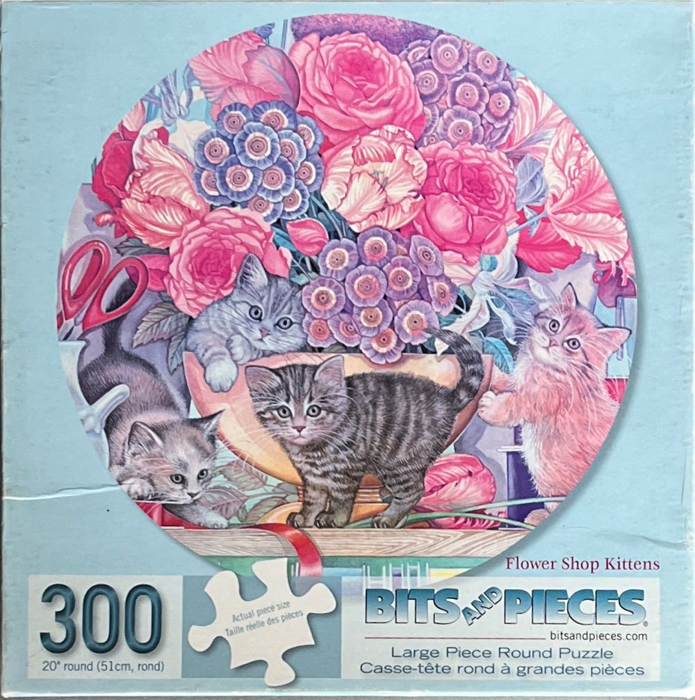 The Shores Of Lake Como