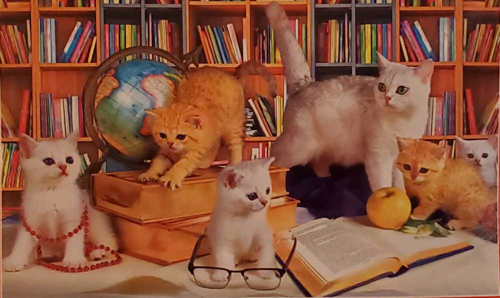 Library Lessons - Cra-Z-Art puzzle collectible [Barcode 195464091623] - Main Image 2