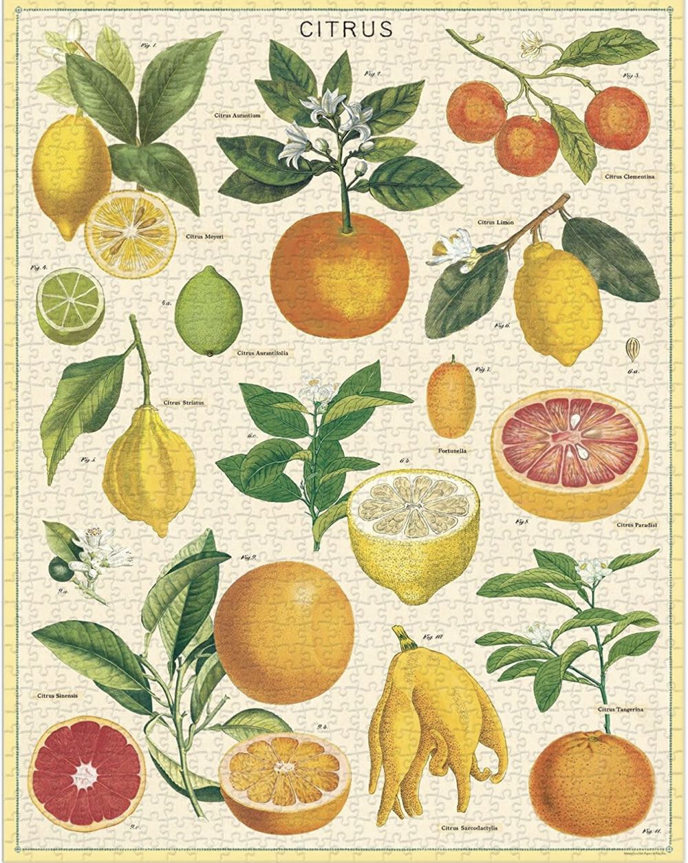 Keith Kimberlin Autumn Puppies