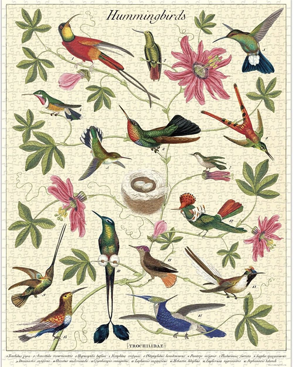 Ocean Puzzle - 200 Pcs