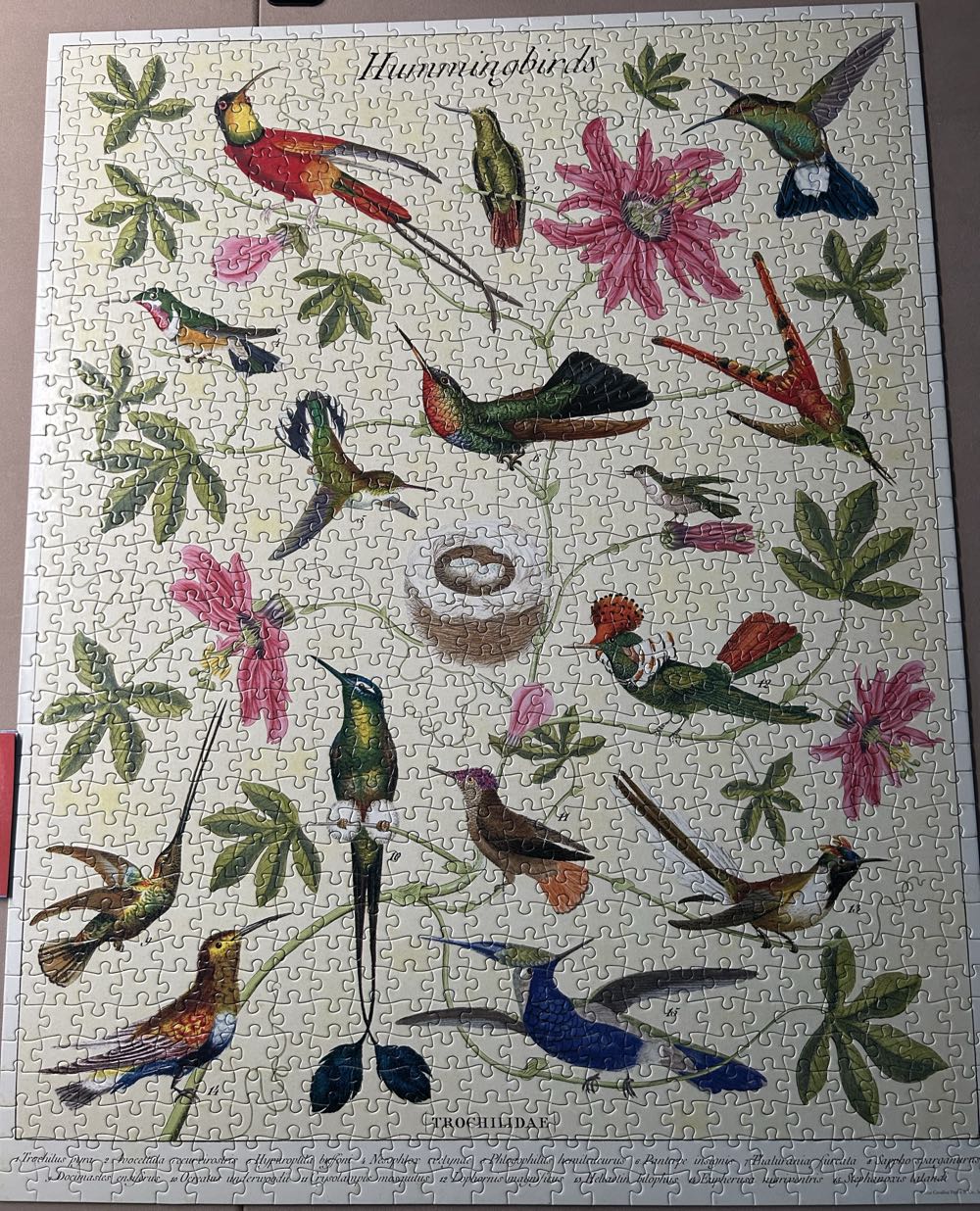 Hummingbirds - Cavallini & Co puzzle collectible - Main Image 2