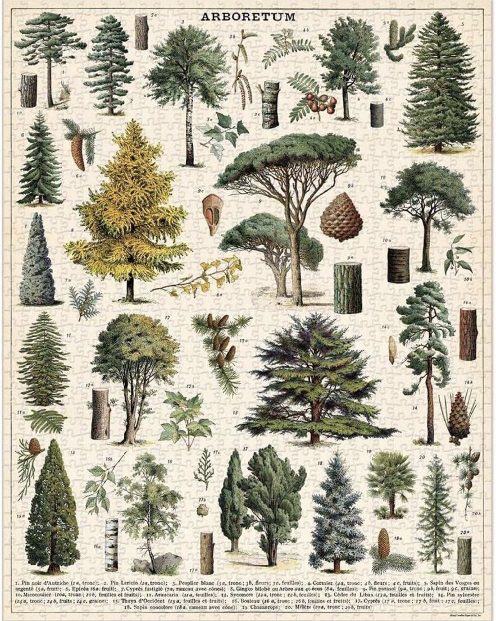 The Beatles, yellow submarine