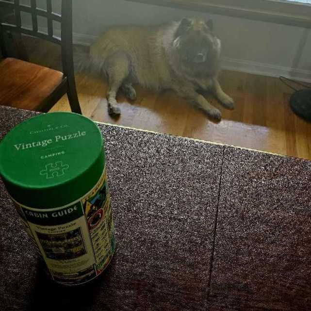 Camping - Cavallini & Co puzzle collectible - Main Image 4