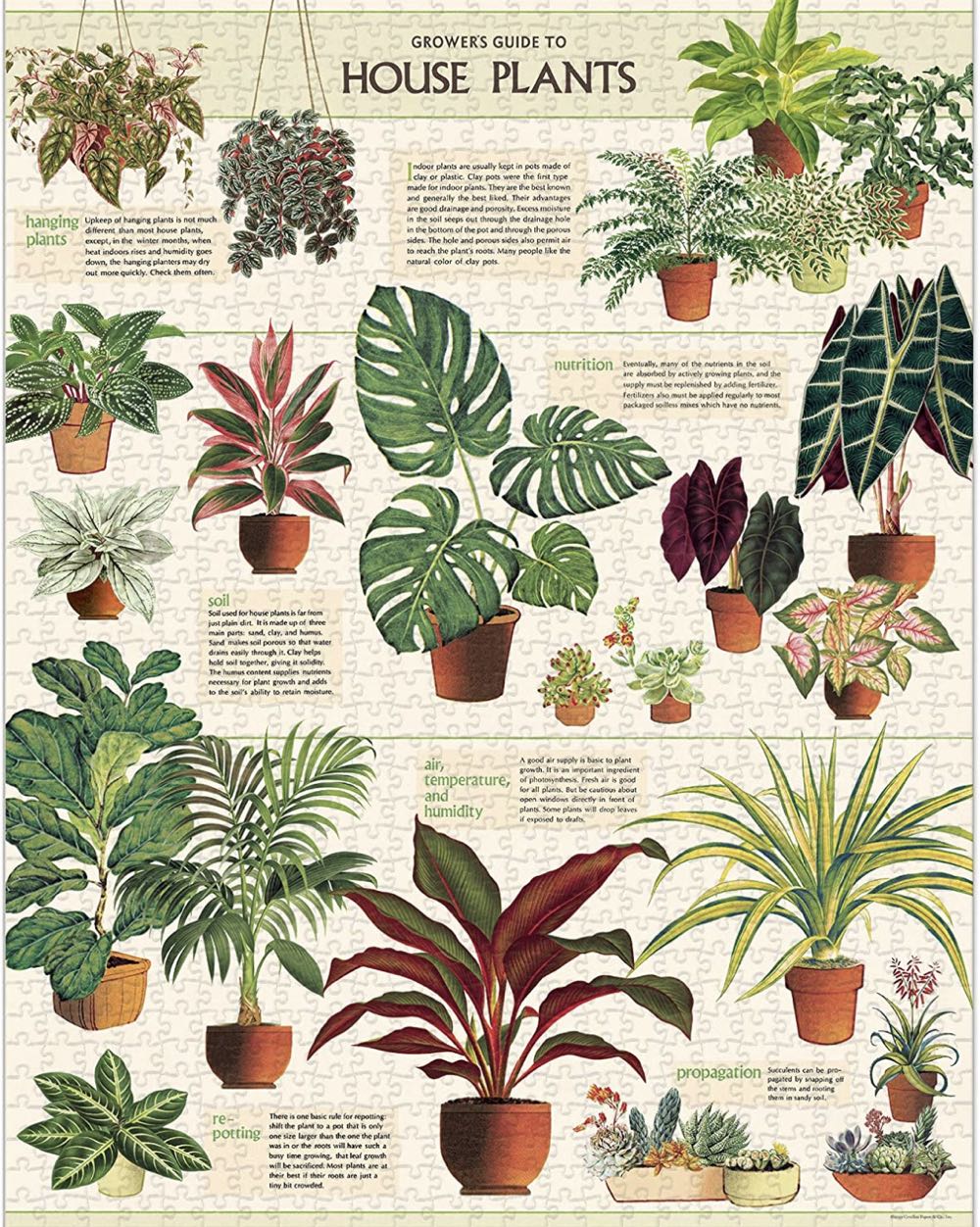 European Cities Wooden Mini Set