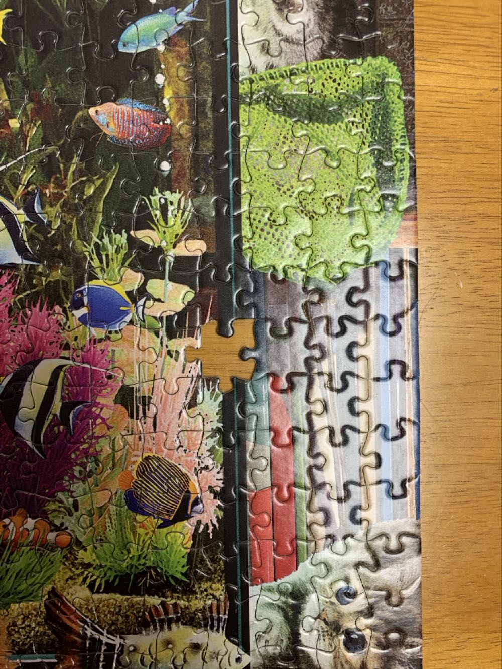 Cats: Kitten Distraction - Buffalo Games puzzle collectible [Barcode 079346173075] - Main Image 3