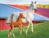 Skybridge III The Reunion