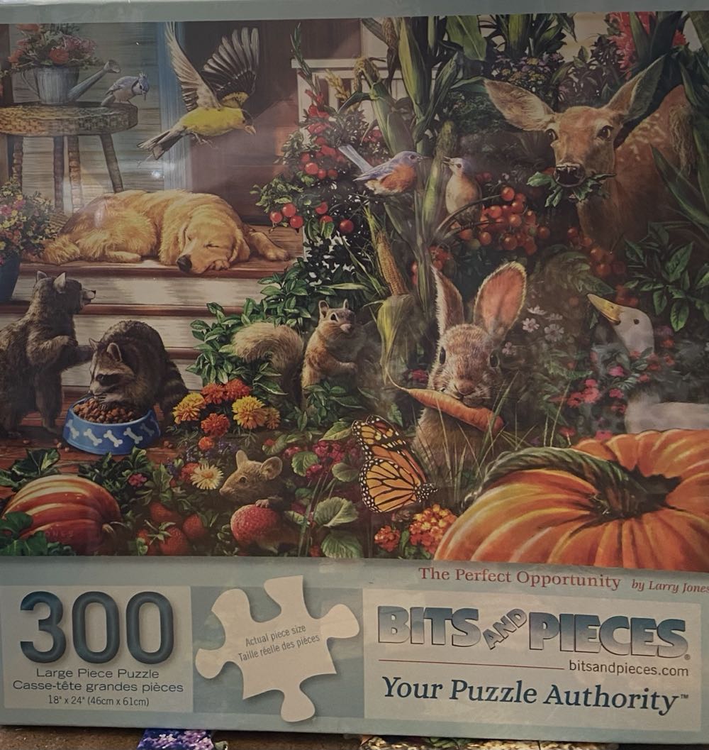 The Perfect Opportunity - Bits And Pieces puzzle collectible [Barcode 192949030863] - Main Image 2