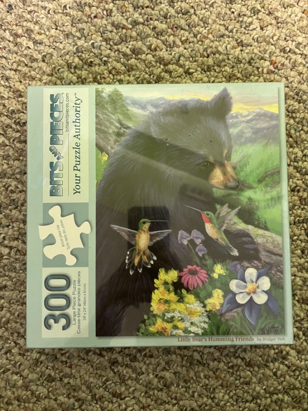 The Shores Of Lake Como