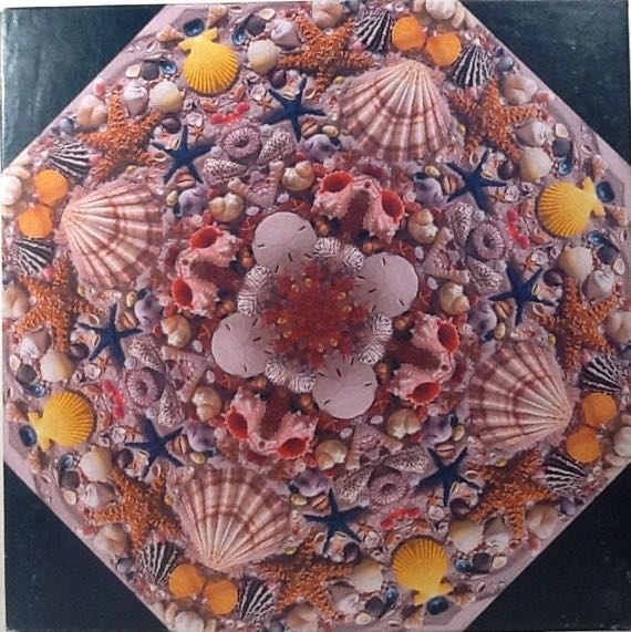  Welcome To The Cabin 