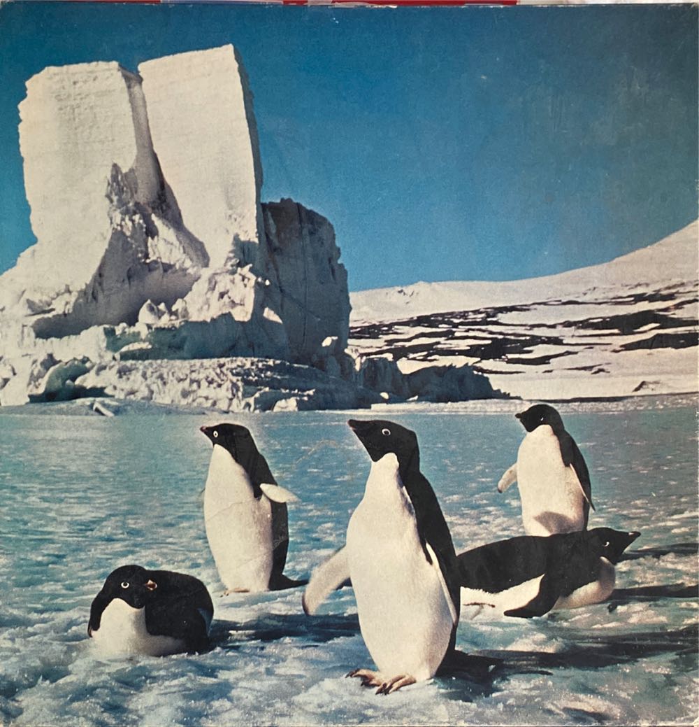 Petrified Forest National Park