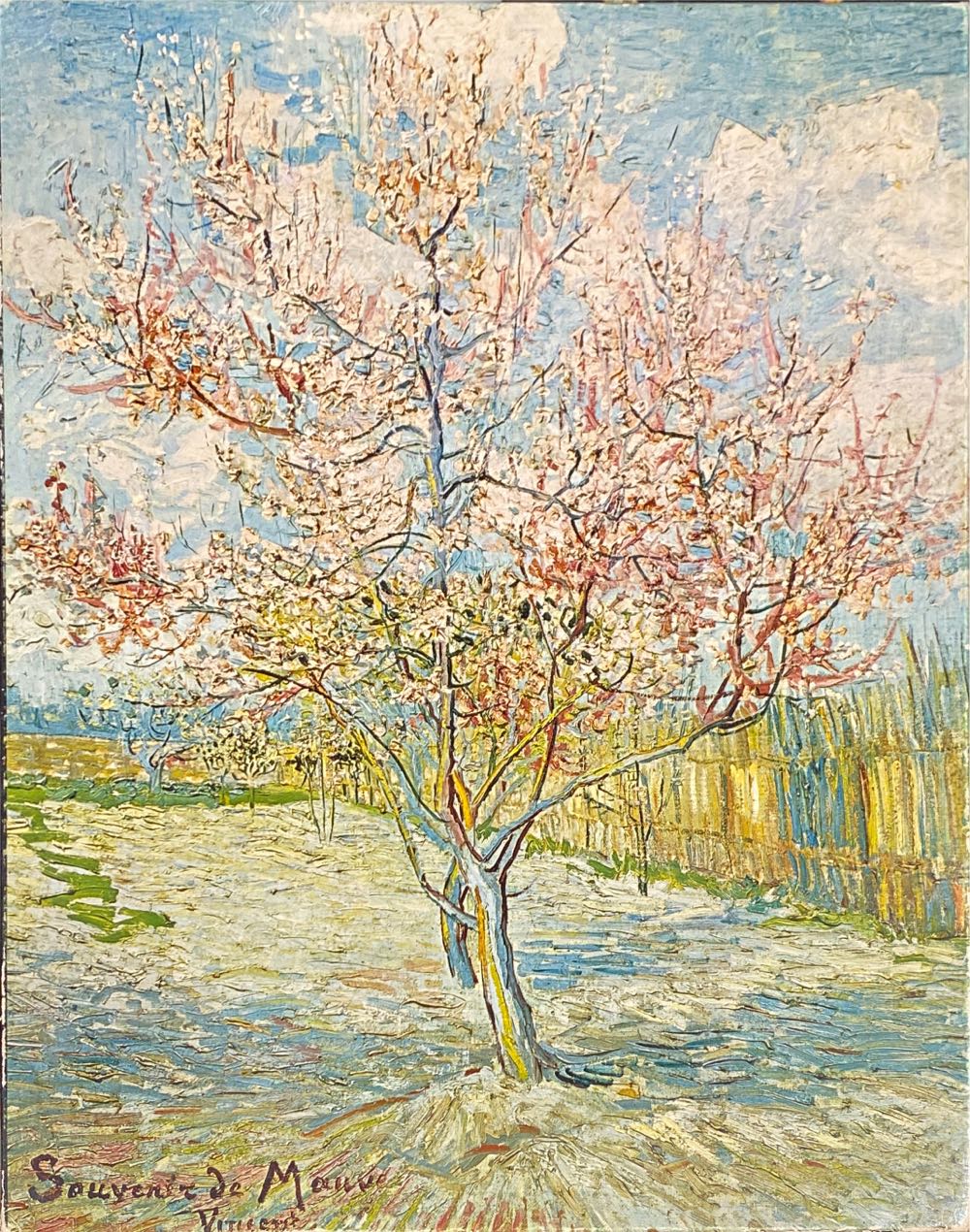 Jan VH: Crazy Harbor