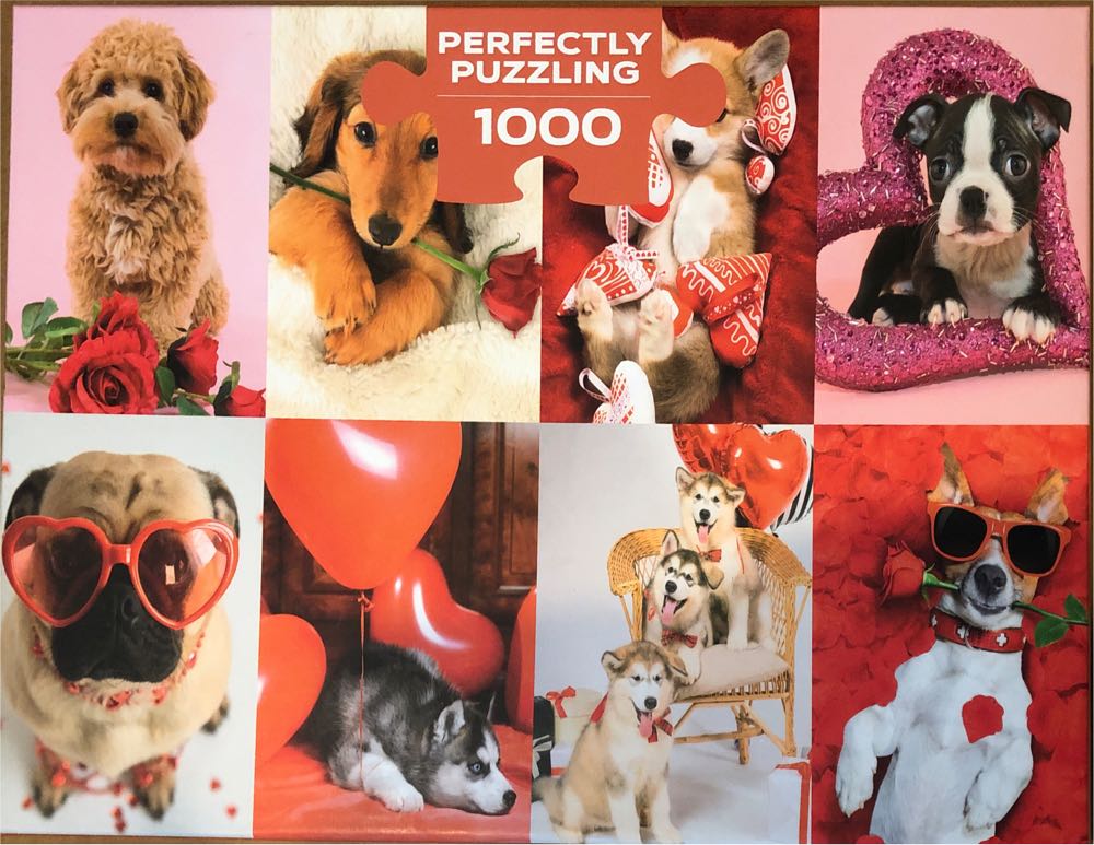 Little Bear’s Humming Friends - Aidan