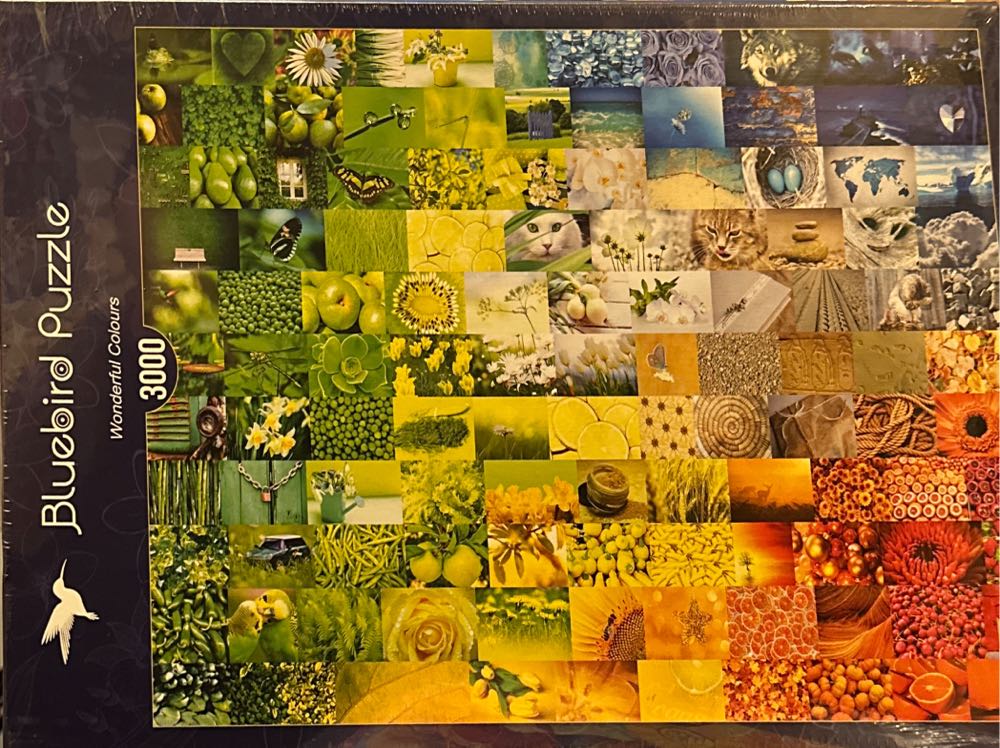 Lofoten Dream, Norway