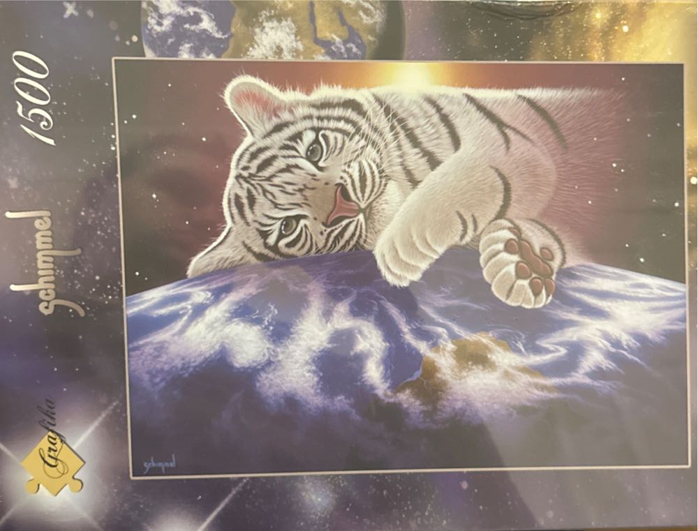 Color Splash Lollies & Candies