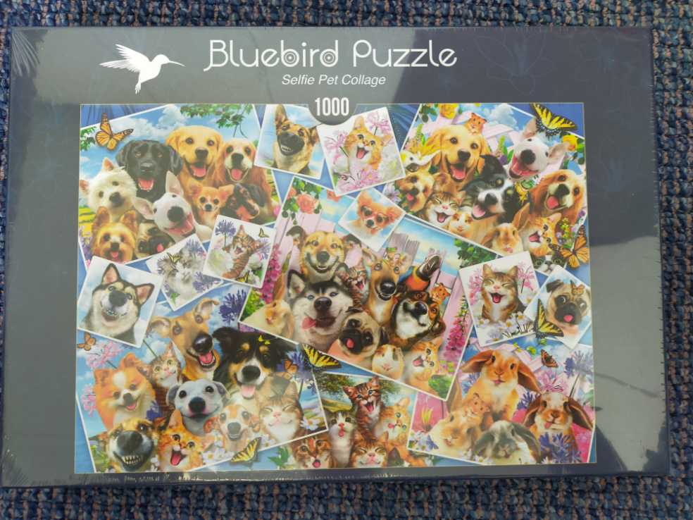 Bicycle Ride Around The World