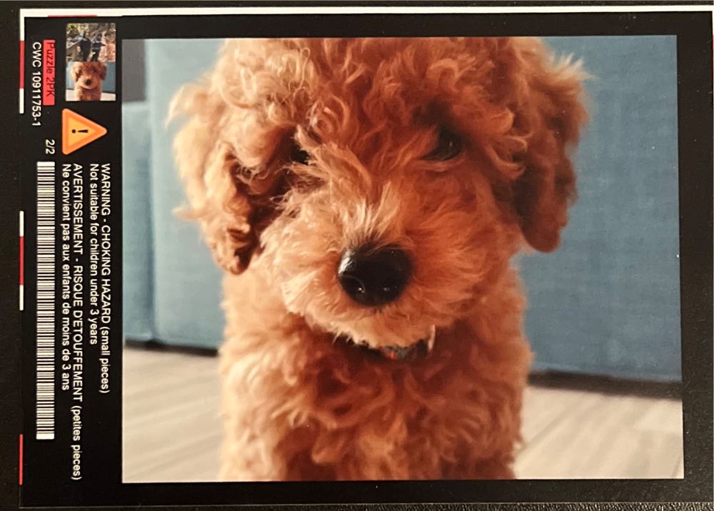 Snowman Contest - TRADED