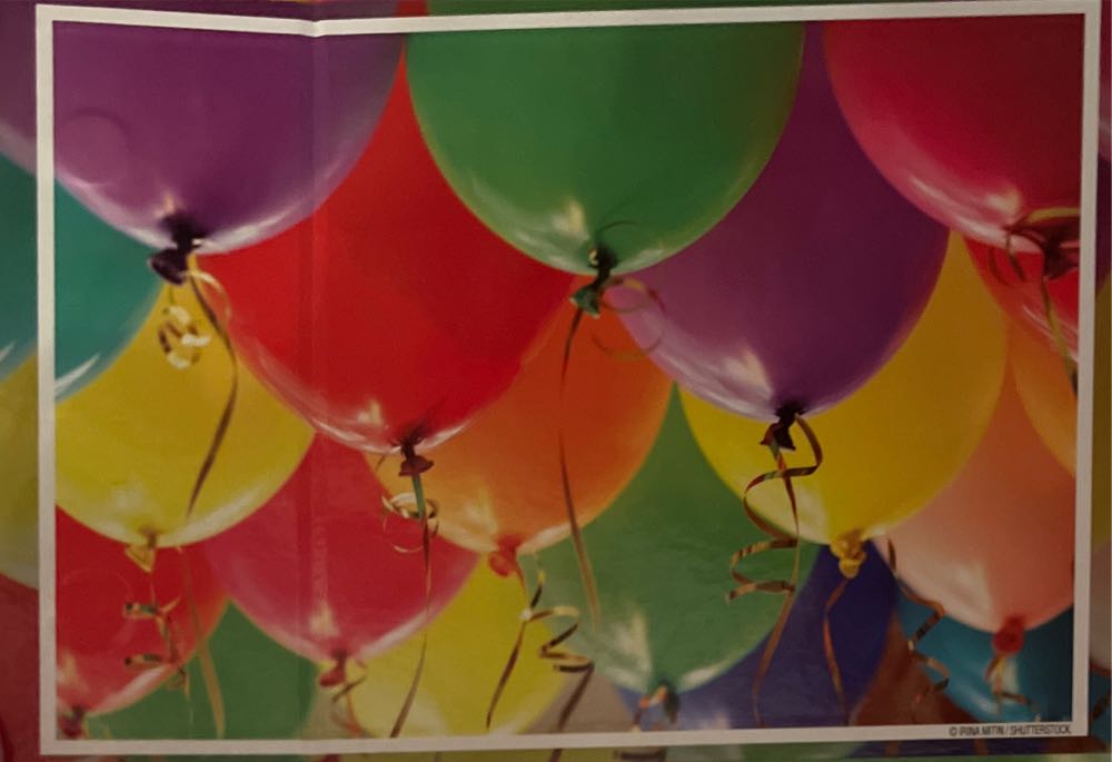 Rainforest River Band