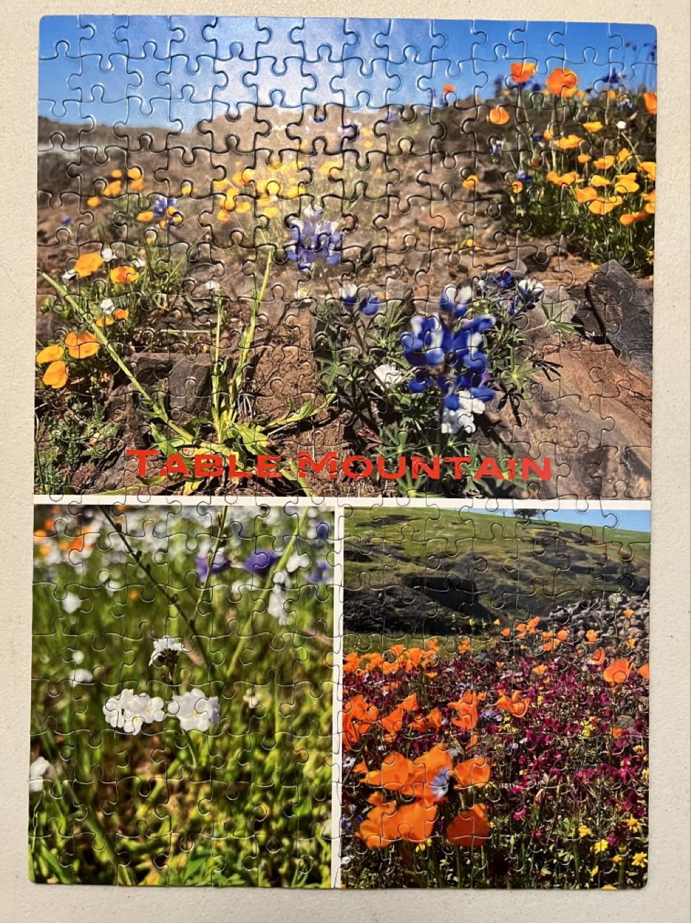 Sure Lox: Winter Wonderland