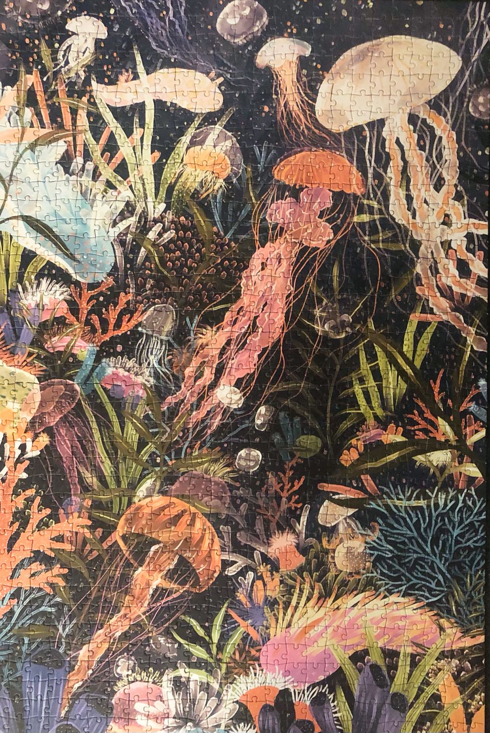 Luminescent World Jellyfish - Lantern Press puzzle collectible [Barcode 744252518912] - Main Image 2