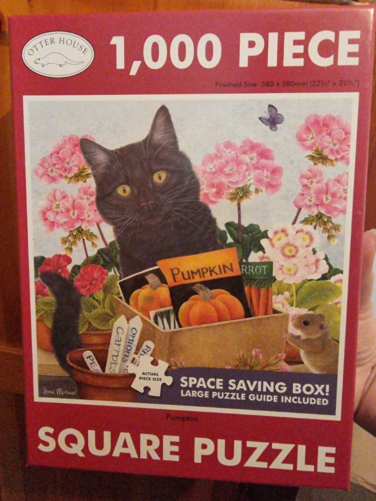 Art Gallery 6 Puzzles