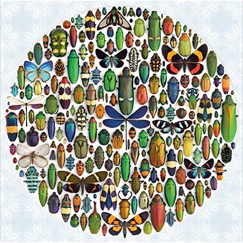 The Birch Point Cove