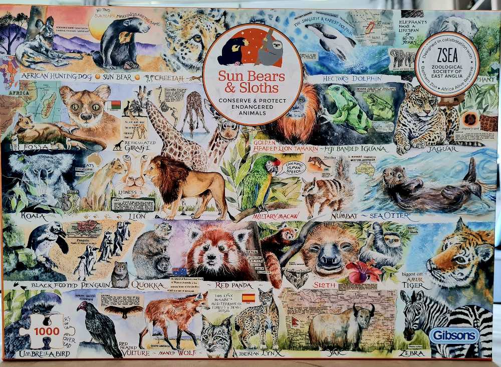 Sun Bears And Sloths - Gibsons puzzle collectible [Barcode 5012269071344] - Main Image 2