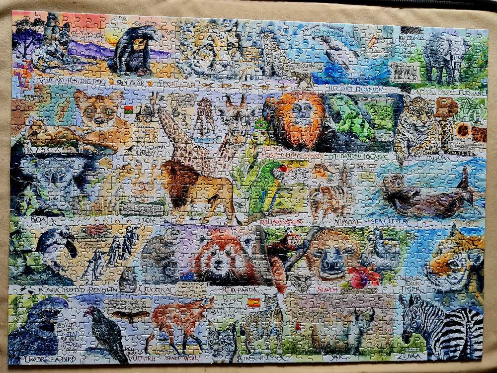 Sun Bears And Sloths - Gibsons puzzle collectible [Barcode 5012269071344] - Main Image 3