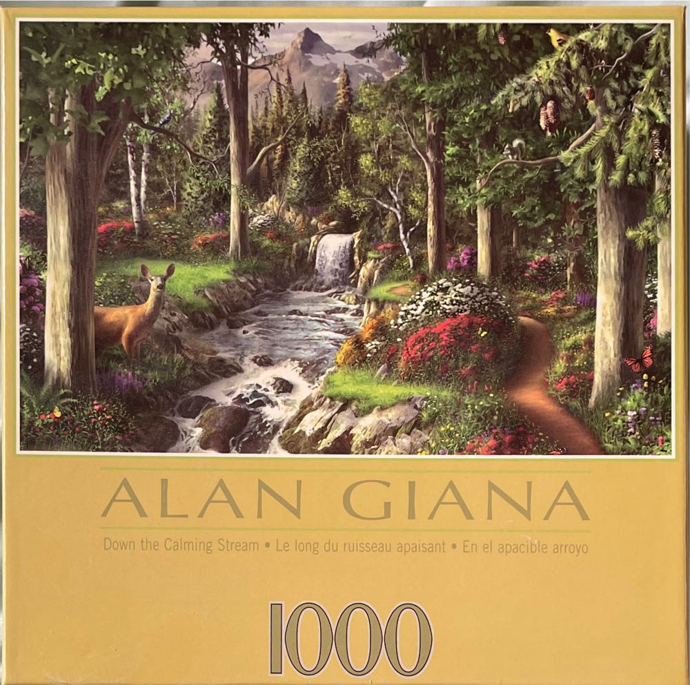 Hubble Space Telescope