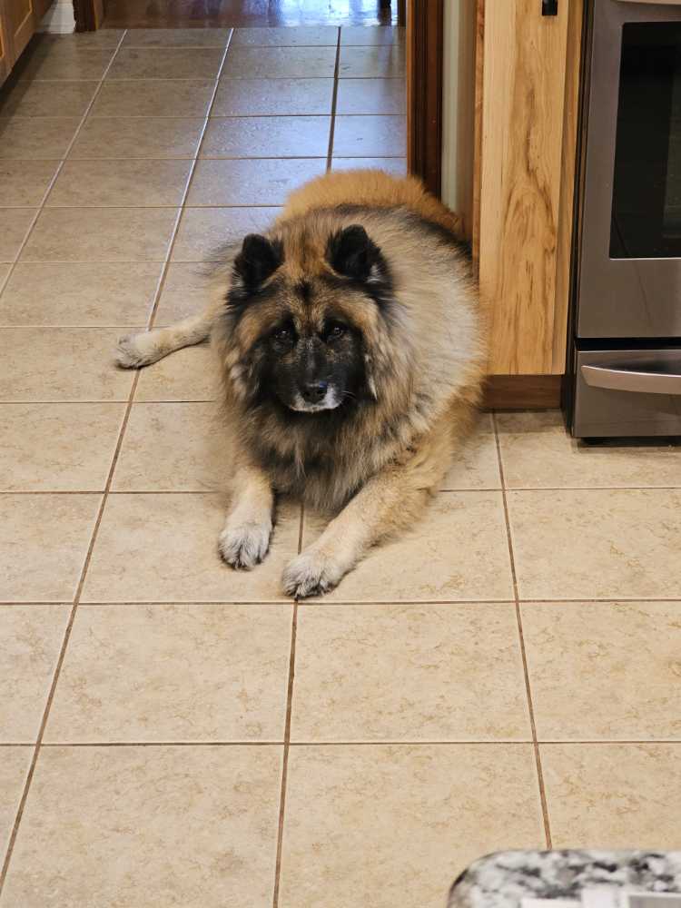 Sugar & Spice - White Mountain 🇺🇸 puzzle collectible [Barcode 724819262267] - Main Image 3