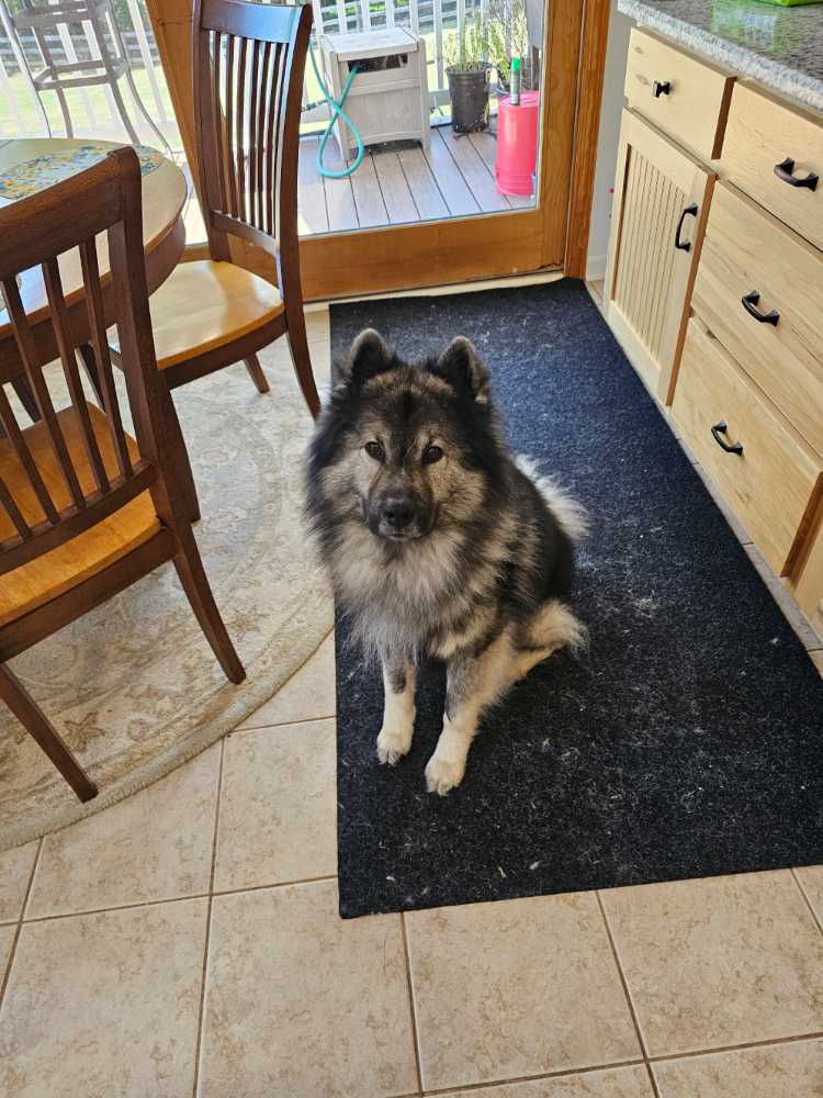 Sugar & Spice - White Mountain 🇺🇸 puzzle collectible [Barcode 724819262267] - Main Image 4