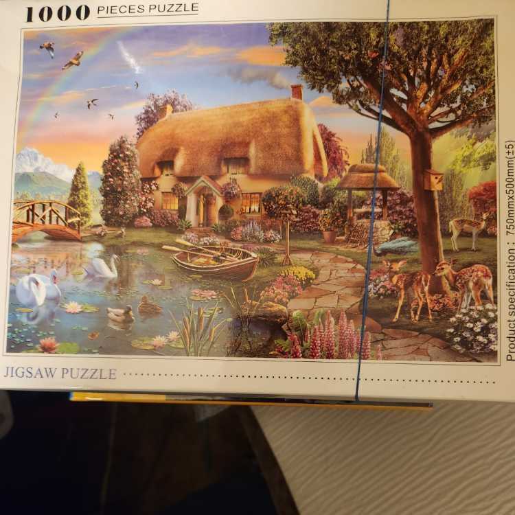 Central Park In Autumn