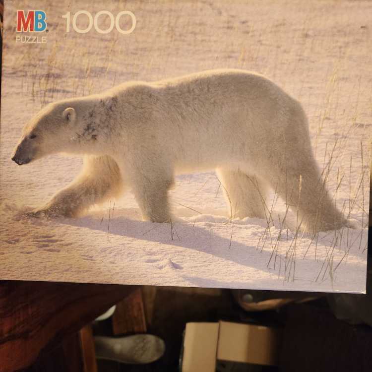 Boy Reading Sears Catalog