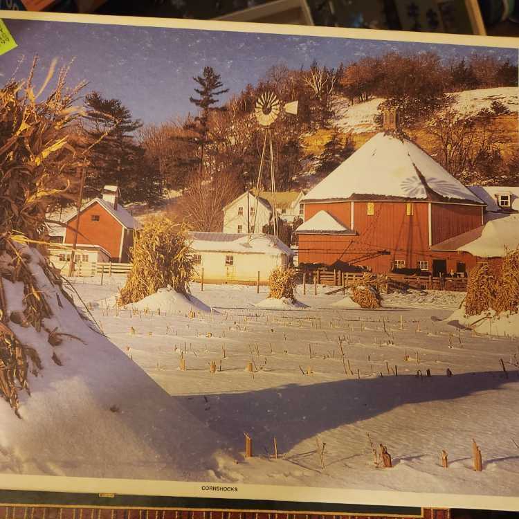 Boys Of Winter Minnesota!