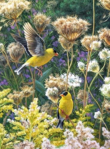 Oh The Sights You’ll See In Africa